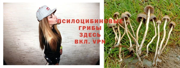 ешки Алексеевка