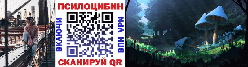 darknet состав  Шиханы  Псилоцибиновые грибы MAGIC MUSHROOMS 